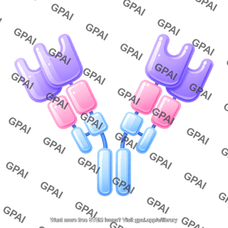 Antibody igd round style