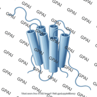 G protein coupled receptor gpcr transmembrane domain