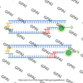 Rt pcr 4. extension