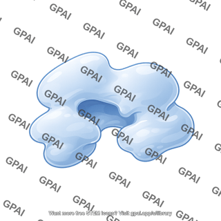Rna polymerase ii top