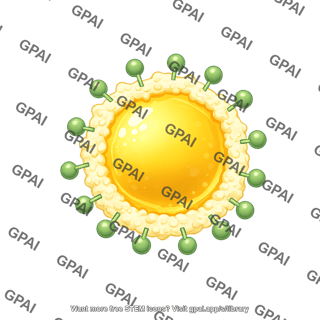 Fat droplet bile salt emulsified 3