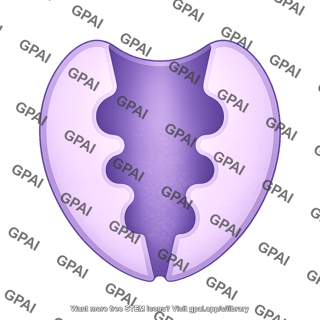 Carrier protein three binding sites