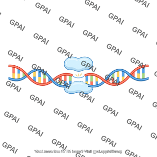 Dna ligase repaired dna