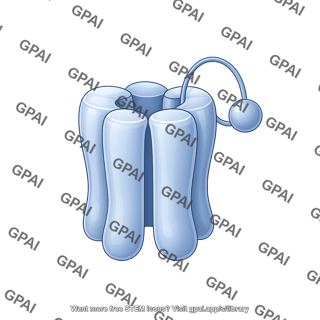 Ion channel voltage gated resting