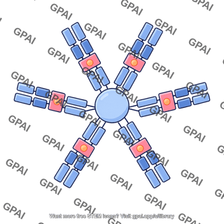 Antibody igm pentamer