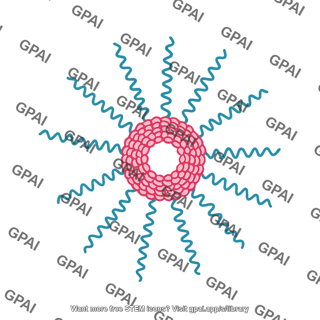 Polymeric micelle