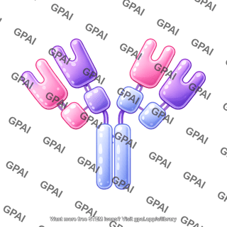Antibody ige round style editable