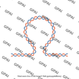 Dna loop