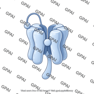Ion channel voltage gated inactive