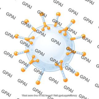 Vesicle with dynein proteins