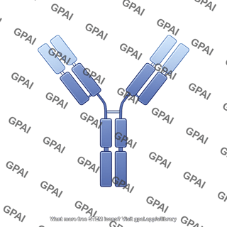 Antibody igg1 adalimumab editable