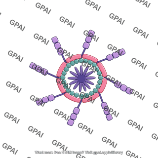 Inflammasome