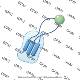 Serpin with trypsin
