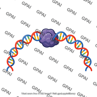 Dna bulky lesion