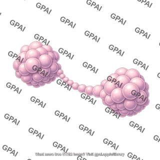 Generic protein dumbell
