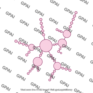 Non coding rna pan motif kshv
