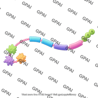 Mrna vaccine curved with neoantigens and nucleotides 3