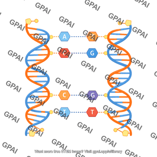 Dna molecular structure