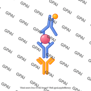 Sandwich elisa 3. detection antibody binds to analyte