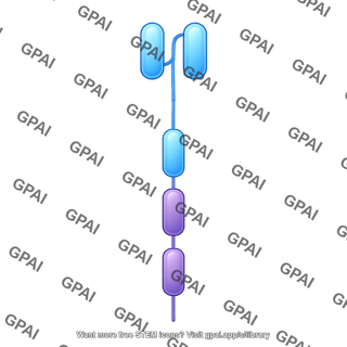 Car protein first generation