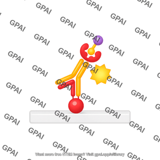 Direct elisa 2. enzymatic color reaction