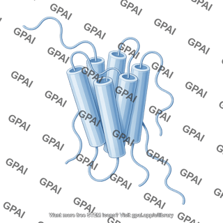 G protein coupled receptor gpcr transmembrane domain short