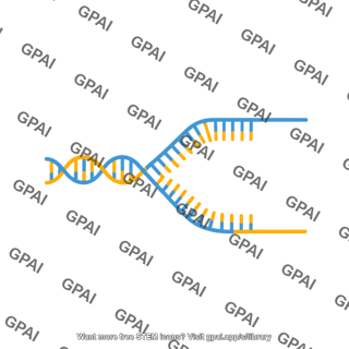 Dna replication fork