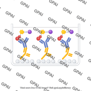 Indirect elisa 3. enzymatic color reaction
