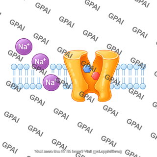 Sodium ion