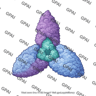 Dengue virus ns1