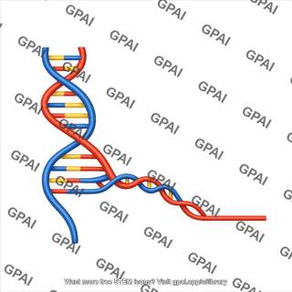 Dna 2d strand invasion right top