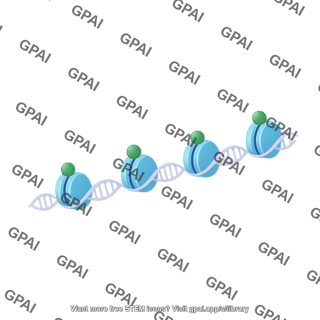 Nucleosomes methylated