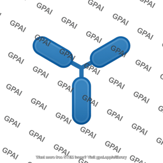 Smad trimer monomer