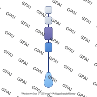 Netrin receptor unc5 b c d