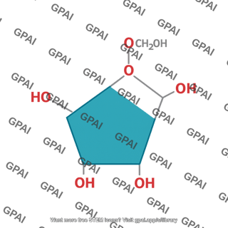 Monosaccharide fructose