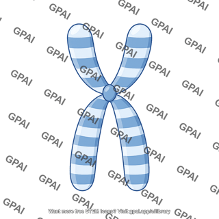 Human karyotype chromosome 12