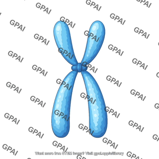 Chromosome