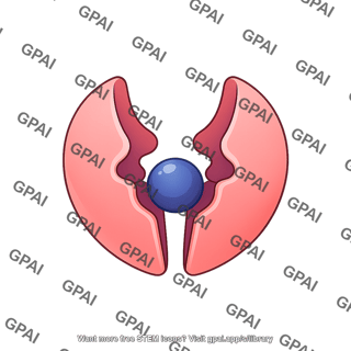 Carrier protein open with ligand