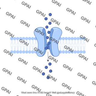 Ion channel generic open in membrane