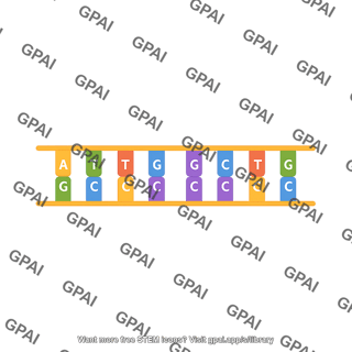 Nucleic acid double strand horizontal
