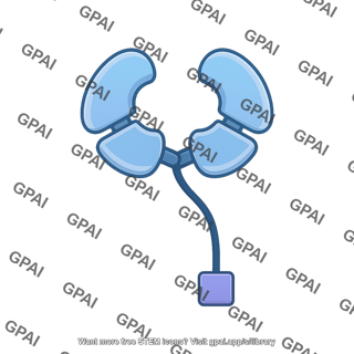 Apoptosome apaf1 active