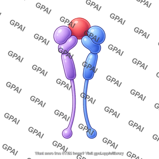 Il 2 high affinity with il 2