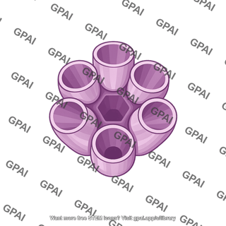 Connexon cross section