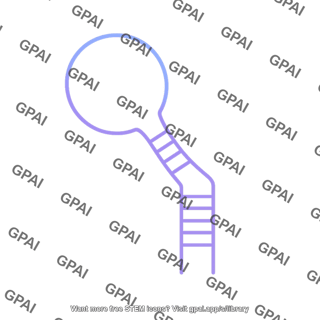 Rna stem loop extra large medium