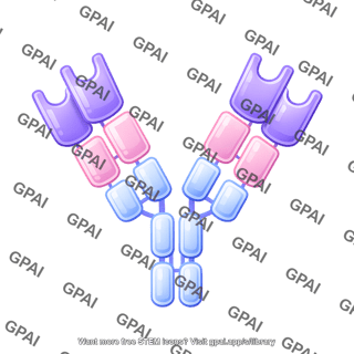 Antibody iga round style