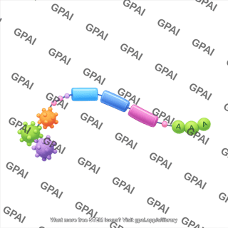Mrna vaccine curved with neoantigens