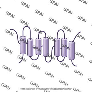 Gamma secretase presenilin