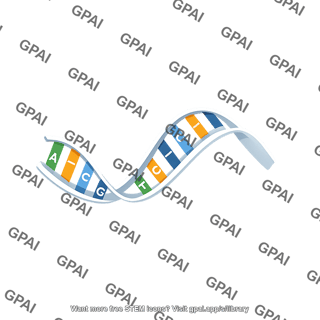 Ssdna 2d fragment