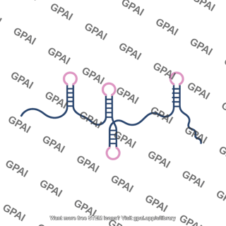 Xist rna 1