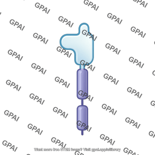 Cytokinin receptor monomer